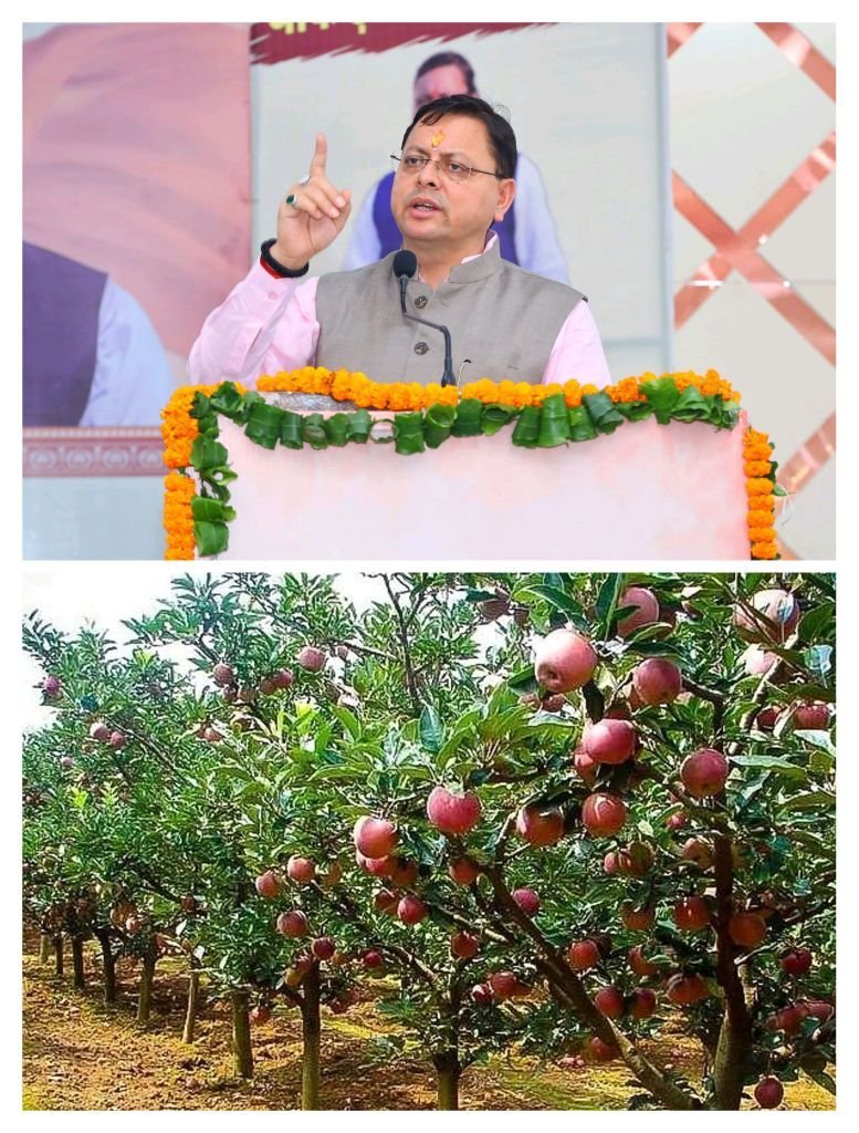 राज्य के सेब उत्पादक किसानों को सेब की बेहतर पैकेजिंग के लिये कार्टन का वितरण हुआ प्रारम्भ