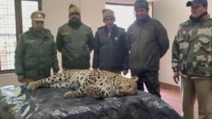 पौड़ी के बाड़ा गांव में आदमखोर गुलदार ढेर, मशहूर शिकारी जॉय हुकिल व वन विभाग की संयुक्त कार्रवाई