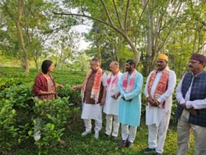 असम के चाय बागानों में पहुंचे कृषि मंत्री गणेश जोशी, उत्तराखंड में चाय उत्पादन बढ़ाने के लिए परखी तकनीक